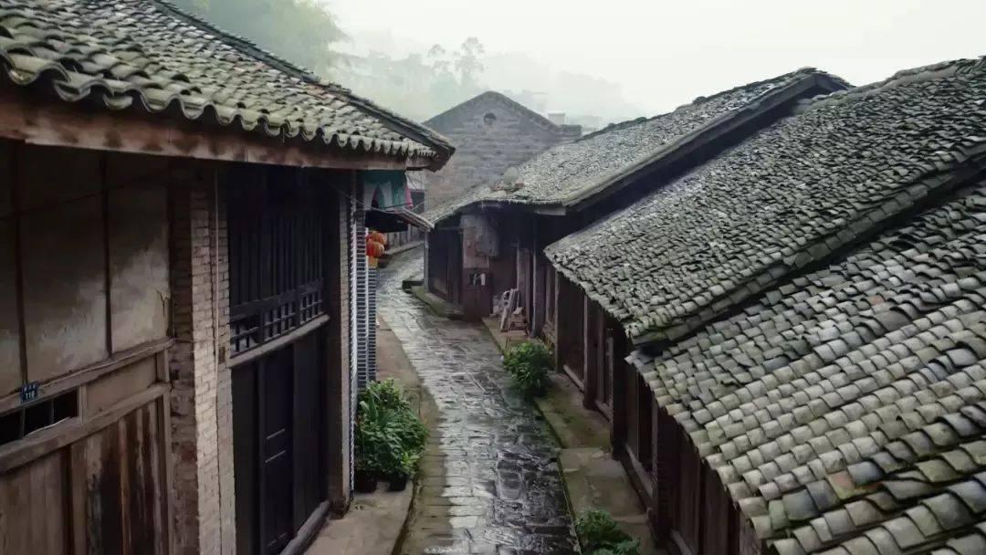 了解凉拌茄子的做法 | 凉拌茄子的做法红迪网平台